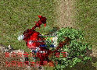 ���Ŵ���˽���У�����Ϊ�ζ��÷�ʦ���裿