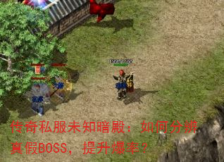 ����˽��δ֪�����ηֱ����BOSS���������ʣ�