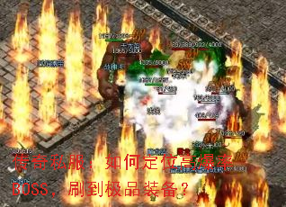 ����˽������ζ�λ�߱���BOSS��ˢ����Ʒװ����