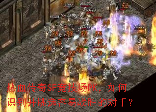 ��Ѫ����SF������PK�����ʶ����ѡ����սʤ�Ķ��֣�