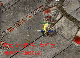 ��䴫��˽���������������嵽50����