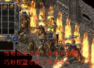 ����˽����ʦ��ս��������������������תȫ����