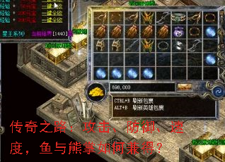 ����֮·���������������ٶȣ�����������μ�ã�