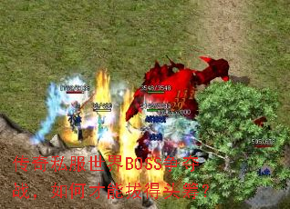 ����˽������BOSS����ս����β��ܰε�ͷ�