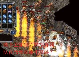 ��ʮ���������ָ���Ŷ��ڴ���˽���л�ʤ��