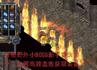 ����Ұ��СBOSS������ѡ�ĸ�����θ�Ч���ܻ�ȡװ����