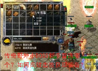 ����Ұ��СBOSS������ѡ�ĸ�����θ�Ч���ܻ�ȡװ����