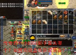 ����Ұ��СBOSS������ѡ�ĸ�����θ�Ч���ܻ�ȡװ����