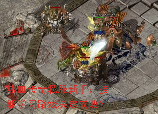 ��Ѫ����˽�����֣�����ѧϰ·�߾����ɰܣ�