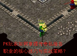 PK���������մ���˽����ְҵ�ĺ��ļ�����ʵս���ԣ�
