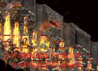 ��ʦ����ƽ��ʿ�ľ綾��������ְҵ�Կ�����ȫ����