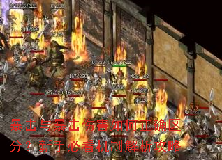 �����뱩���˺������ȷ���֣����ֱؿ����ƽ�������