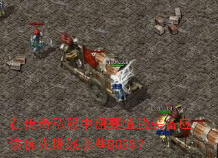 �ڴ���˽������ҪֵǮװ��Ӧ��������ս��ЩBOSS��