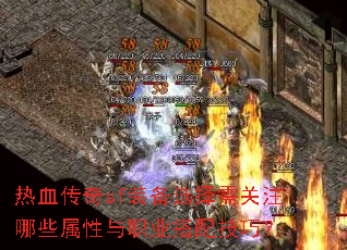��Ѫ����sfװ��ѡ�����ע��Щ������ְҵ���似�ɣ�
