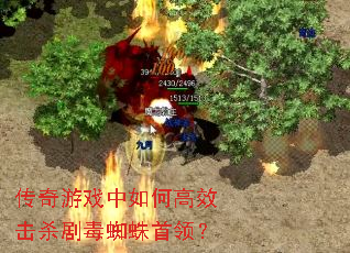 ������Ϸ����θ�Ч��ɱ�綾֩�����죿