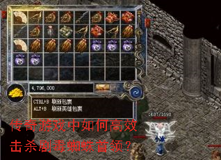 ������Ϸ����θ�Ч��ɱ�綾֩�����죿