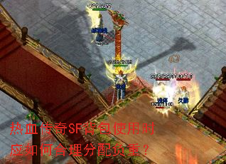 ��Ѫ����SF����ʹ��ʱӦ��κ������为�أ�