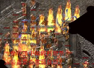 ����˽��������ж���ѡװ���Ƿ����׻�ȡ��
