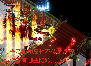 ����˽�������Բ��ѵĸߵȼ�װ������Щ������;��