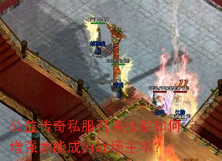 ���洫��˽���ٻ����������ǿ���ܳ�Ϊս�����ף�