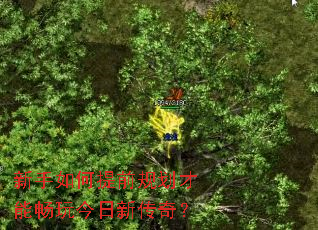���������ǰ�滮���ܳ�������´��棿