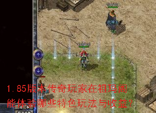1.85�汾����������������������Щ��ɫ�淨�����棿