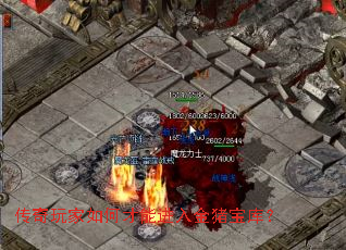 ���������β��ܽ���������⣿