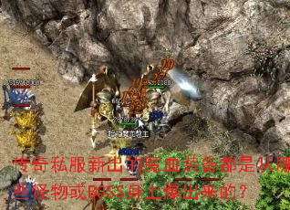 ����˽���³���ħѪװ�����Ǵ���Щ�����BOSS���ϱ������ģ�