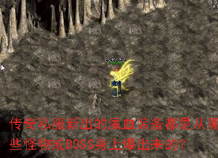 ����˽���³���ħѪװ�����Ǵ���Щ�����BOSS���ϱ������ģ�