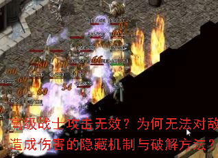 �߼�սʿ������Ч��Ϊ���޷��Ե�������˺������ػ������ƽⷽ����
