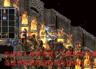 �߼�սʿ������Ч��Ϊ���޷��Ե�������˺������ػ������ƽⷽ����