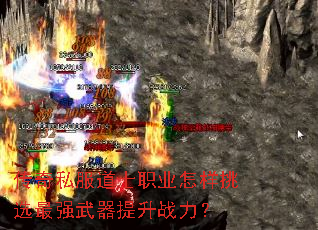 ����˽����ʿְҵ������ѡ��ǿ��������ս����