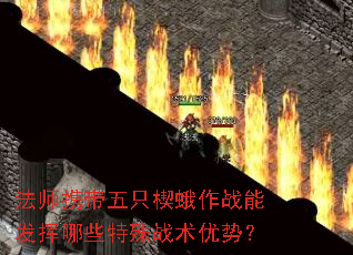��ʦЯ����ֻШ����ս�ܷ�����Щ����ս�����ƣ�