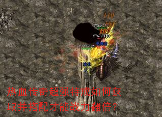 ��Ѫ���泬ǿ�ؽ���λ�ȡ���������ս��������