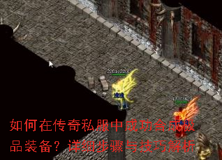 ����ڴ���˽���гɹ��ϳɼ�Ʒװ������ϸ�����뼼�ɽ���