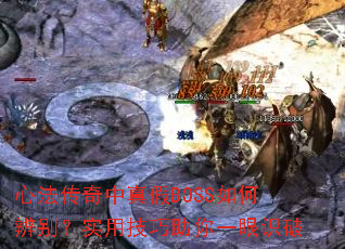 �ķ����������BOSS��α��ʵ�ü�������һ��ʶ��