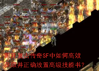 �¿����Ŵ���SF����θ�Ч��ȡ����ȷ���ø߼������飿