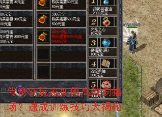 ����SF�����θ�Чˢ�������ٳ�ѵ�����ɴ����