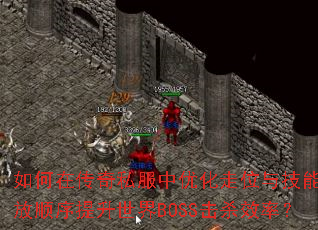 ����ڴ���˽�����Ż���λ�뼼���ͷ�˳����������BOSS��ɱЧ�ʣ�