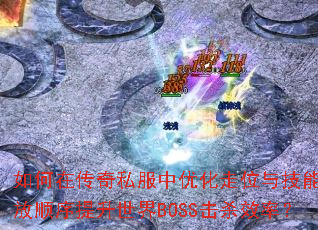 ����ڴ���˽�����Ż���λ�뼼���ͷ�˳����������BOSS��ɱЧ�ʣ�