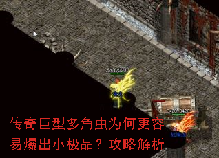 ������Ͷ�ǳ�Ϊ�θ����ױ���С��Ʒ�����Խ���