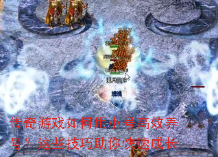 ������Ϸ�����С�Ÿ�Ч���ţ���Щ����������ٳɳ�