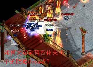 ���ͻ�ƾ������ֹؿ��е�����Bossս��