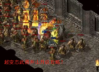 ����̬������ɽ�������ԣ�