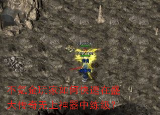 ��봽������ο�����ʢ��������������������