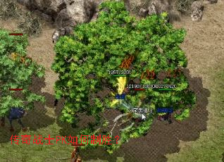 ����սʿPK�����ʤ��