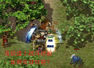 ǳ̸��ʿս�����飺��θ�Ч��ʤ��