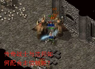 ����սʿ�뷨ʦ��������λ��ʤ��