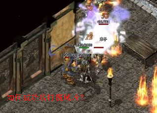 ��γɹ�����ħ���룿