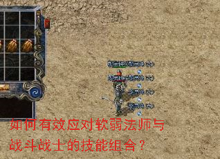 �����ЧӦ��������ʦ��ս��սʿ�ļ�����ϣ�